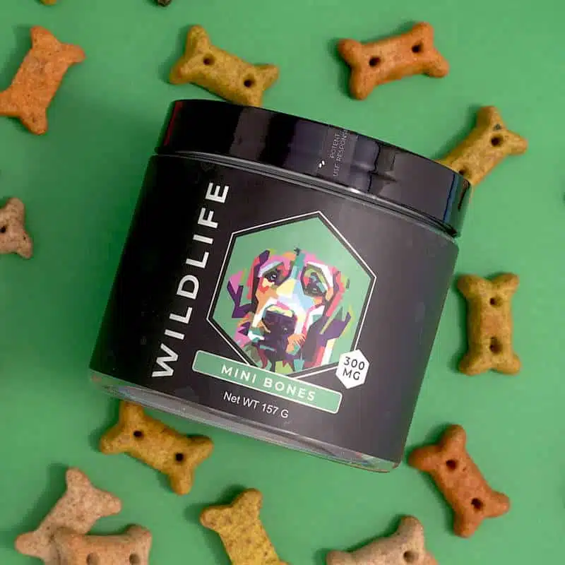 Pet CBD in Omaha - The Best Places to Buy Pet CBD - 42 degrees cbd for pets - 42 Degrees Dispensary in Omaha, Lincoln, Bellevue, Council Bluffs and Beyond. Pet CBD in Omaha - The Best Places to Buy Pet CBD - 42 degrees cbd for pets - 42 Degrees Dispensary in Omaha, Lincoln, Bellevue, Council Bluffs and Beyond.