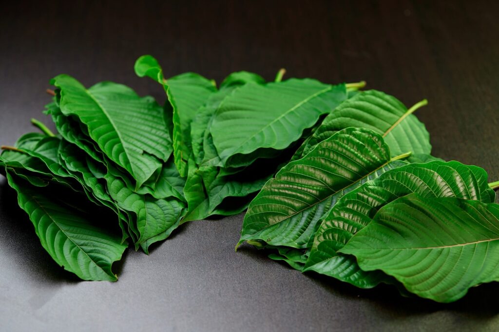 Types of Kratom Strains & What They Do Image of Kratom on a black background. 3 types of kratom.