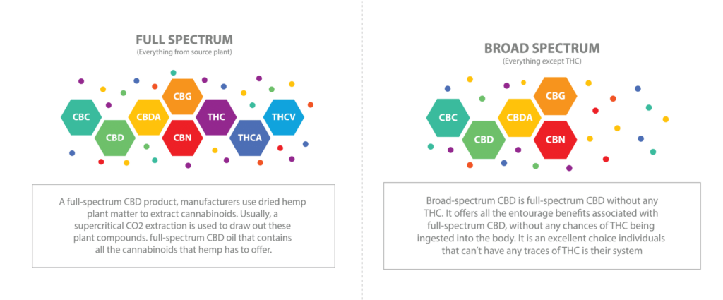 Full Spectrum CBD vs Broad Spectrum CBD