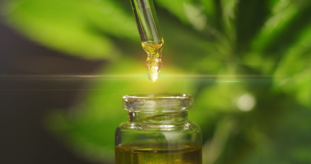 Learn all about the differences between CBD and Delta-8, and which cannabinoid is best used for what.