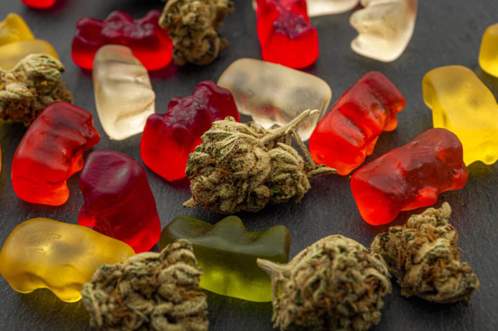The Right Cannabis Dispensary