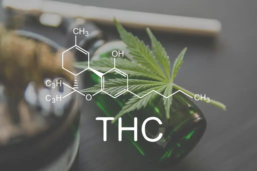 Stoner’s Dictionary: Common Terms and Definitions for THC - AdobeStock 484476556 - 42 Degrees Dispensary in Omaha, Lincoln, Bellevue, Council Bluffs and Beyond. Stoner's Dictionary