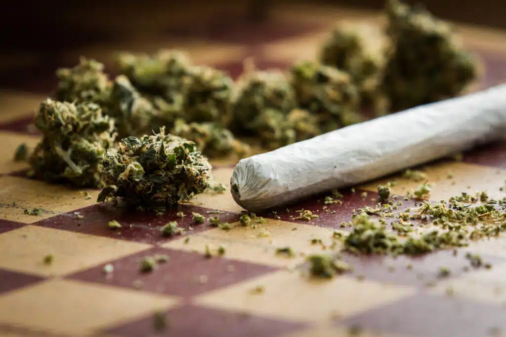 Stoner’s Dictionary: Common Terms and Definitions for THC - AdobeStock 73750494 - 42 Degrees Dispensary in Omaha, Lincoln, Bellevue, Council Bluffs and Beyond. Stoner's Dictionary