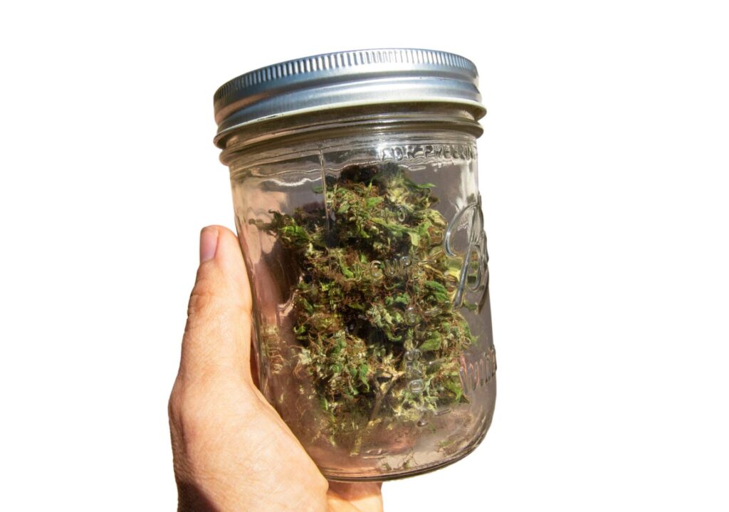 How to Store Cannabis to Keep It Fresh and Potent - AdobeStock 276985483 - 42 Degrees Dispensary in Omaha, Lincoln, Bellevue, Council Bluffs and Beyond. How to Store Cannabis to Keep It Fresh and Potent - AdobeStock 276985483 - 42 Degrees Dispensary in Omaha, Lincoln, Bellevue, Council Bluffs and Beyond.