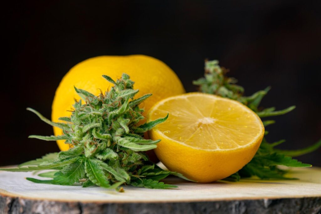 Why terpenes matter