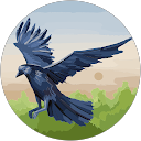 Danny Kav profile picture