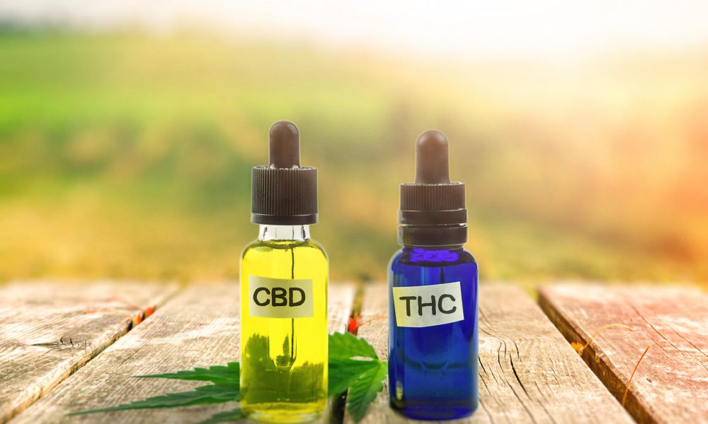 THC vs. CBD: Differences, Benefits & What You Should Know