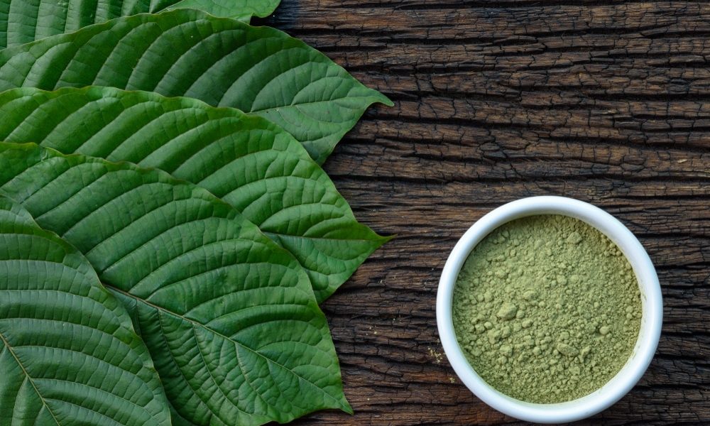 Mitragynina,Speciosa,Or,Kratom,Leaves,With,Powder,Product,In,White